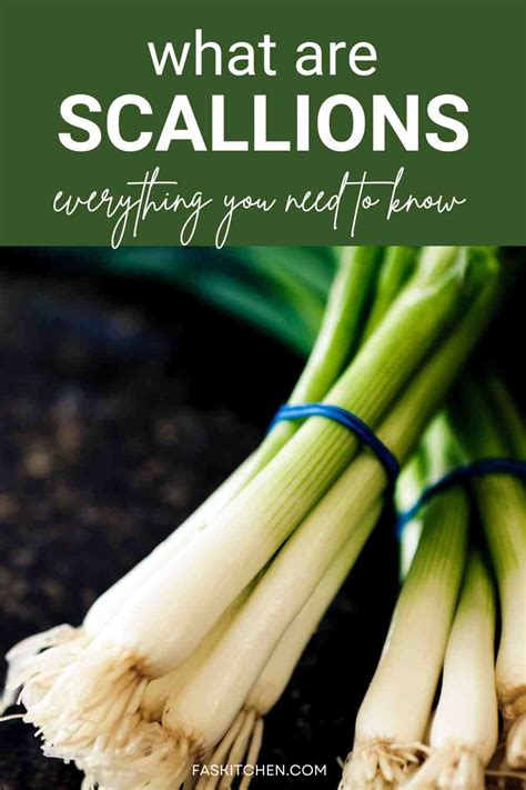 Scallions 101 Nutrition Benefits How To Use Buy Store Scallion