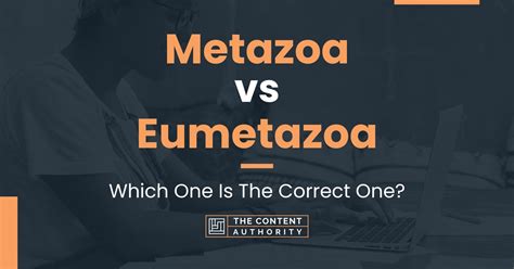 Metazoa vs Eumetazoa: Which One Is The Correct One?