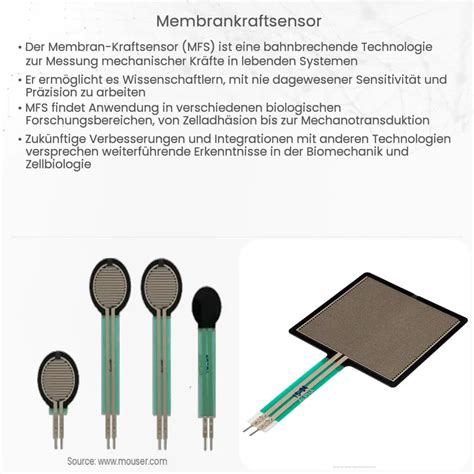 Membrankraftsensor Wie Es Funktioniert Anwendung Vorteile