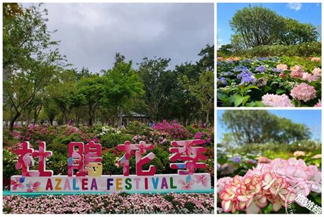 台北賞花再添一處 大安森林公園杜鵑、繡球花齊爭豔 觸食旅