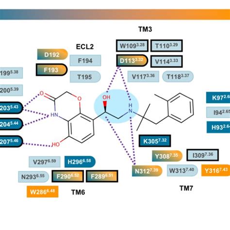 Schematic Representation Of The Interactions For The Machine Learning