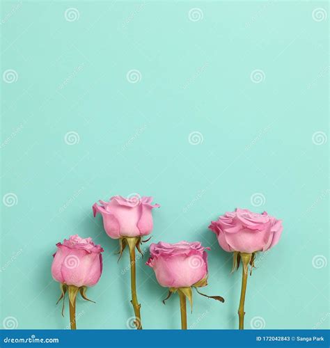 Mint Green Floral Wallpaper