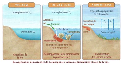 Chapitre L Atmosph Re Terrestre Et La Vie Svt