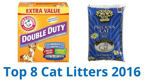 8 Best Cat Litters 2016 Youtube