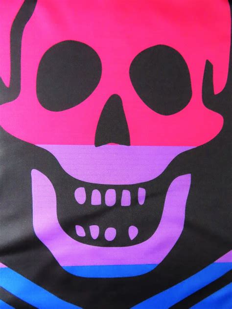 Lgbtq Pride Flag Bisexual Bi Pride Pirate 5x3 Etsy