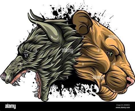 vector illustration of lion and wolf head Stock Vector Image & Art - Alamy