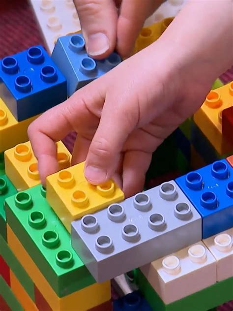 Sex Mit Pferden Polizei Sucht Mutma Lichen Tiersch Nder In Essen