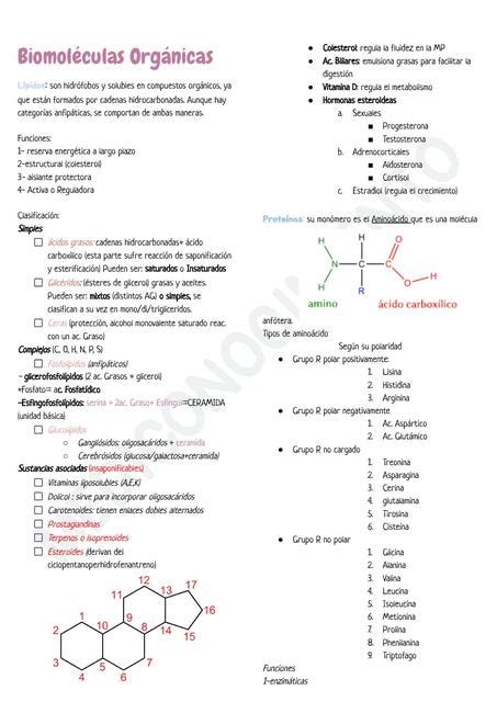 Biomoléculas Orgánicas MediConocimiento study uDocz