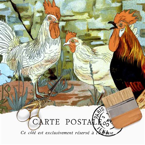 Vintage Chickens And Roosters Tissue Paper Zazzle