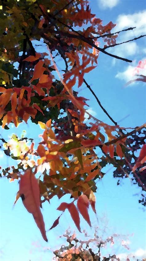 Orange Leaves Blue Sky Digital Art By Eric Forster Fine Art America