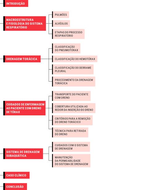 ASSISTÊNCIA DE ENFERMAGEM AO PACIENTE DRENO DE TÓRAX SECAD