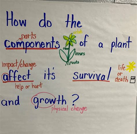 Essential Questions 101 - Learning-Focused 