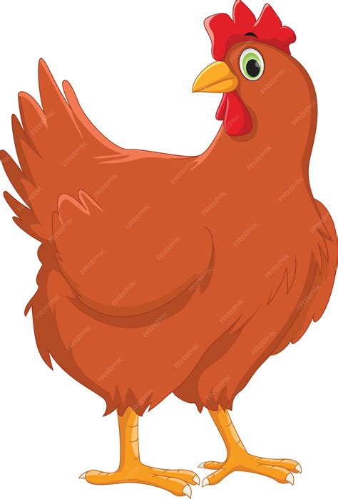 Imagem De Galinha Desenho - 5