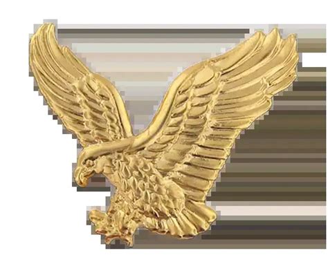 Custom Eagle Lapel Pins American Eagle Pins For Sale