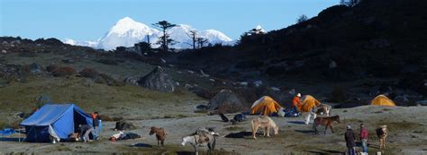 Bhutan Best Travel - Trail of the Nomads -Gasa Trek - Beautiful Laya ...