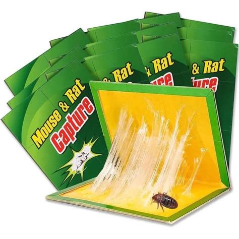 Piege A Souris Collante Piege A Rat Glue Colle Souris Pcs Glue Traps