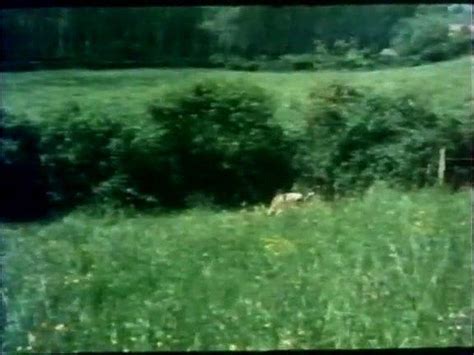 Watch Ecstasies Retro Vintage Groupsex Porn SpankBang