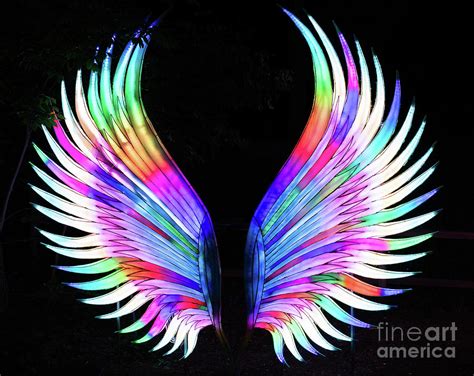 Wings Of Light Photograph By Jason Layden Fine Art America