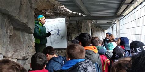 Gita Nei Luoghi Del Disastro Del Vajont MONS CAMILLO DI GASPERO Home