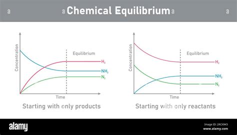 Chemical Equilibrium Definition Types Importance And 50 OFF