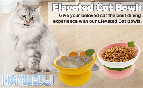 Amazon Hamiledyi Ceramic Raised Cat Bowls Tilted Elevated