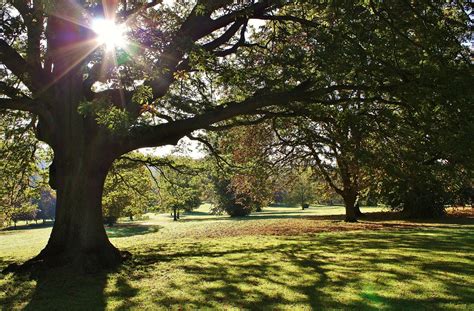 Crisp Autumn Morning Astrid Ewing Photography Flickr