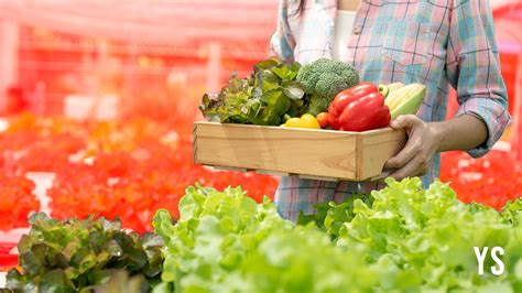 Ripe for growth: Why online grocers are keen to serve picky customers