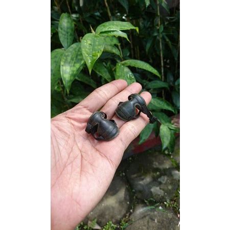 Jual Part Kitbash 12 Inch 1 6 Scale Kneepad US Army Rangers Hottoys Hot Toys Shopee Indonesia
