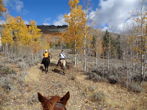 Dream Packer Wyoming Trails: Kelly Park