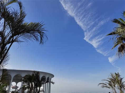 Cloudy Sky Blue Palm Tree Free Photo On Pixabay Pixabay