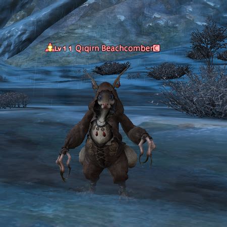 Qiqirn Beachcomber Gamer Escape S Final Fantasy Xiv Ffxiv Ff Wiki