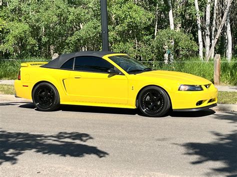 2001 Ford Mustang Cobra | Cars & Trucks | Calgary | Kijiji