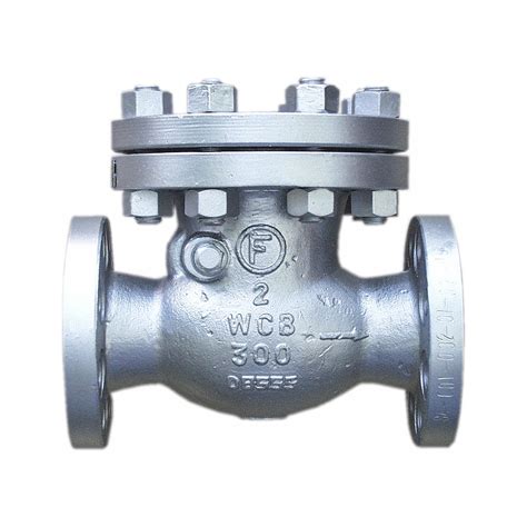 Ansi Swing Check Valves Class A Wcb Fromme F M