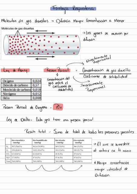 Fisiología Respiratoria Bessy Ochoa uDocz