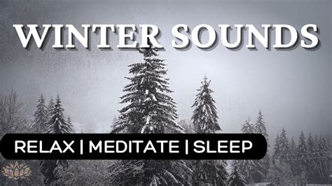 Winter Sounds Snow Storm Sounds For Relaxation Meditation Sleep