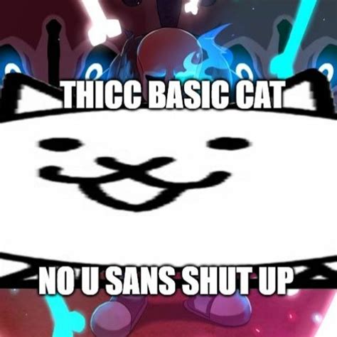 Stream Thicc Basic Cat by Dan | Listen online for free on SoundCloud