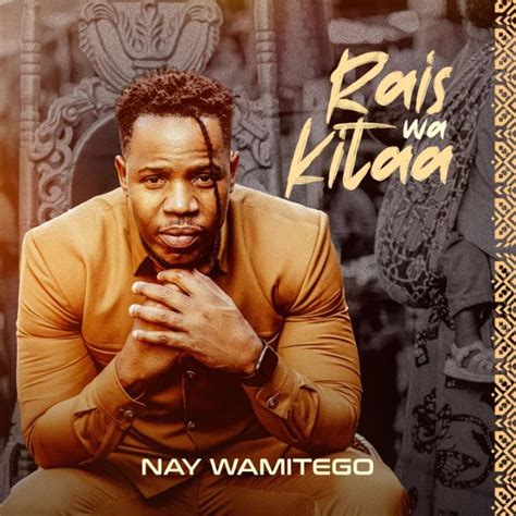 Audio Nay Wa Mitego Ft Maua Sama Simuachi Download