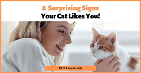 how to know if a cat likes you