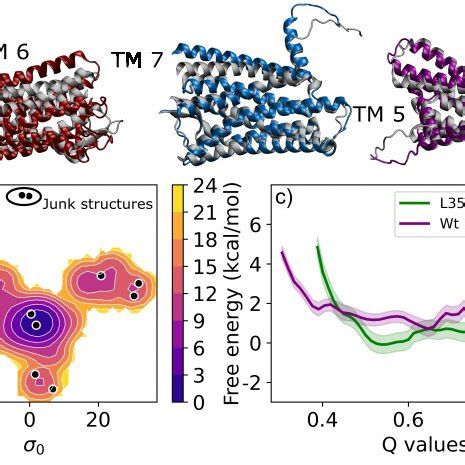 A Sstr Structures Highlighting Helix Movement In Tm Tm Tm Via