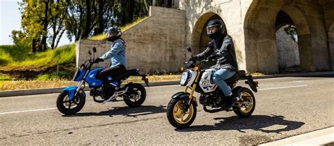 2022 2023 Honda Grom Buying Guide Motorcycles On Autotrader