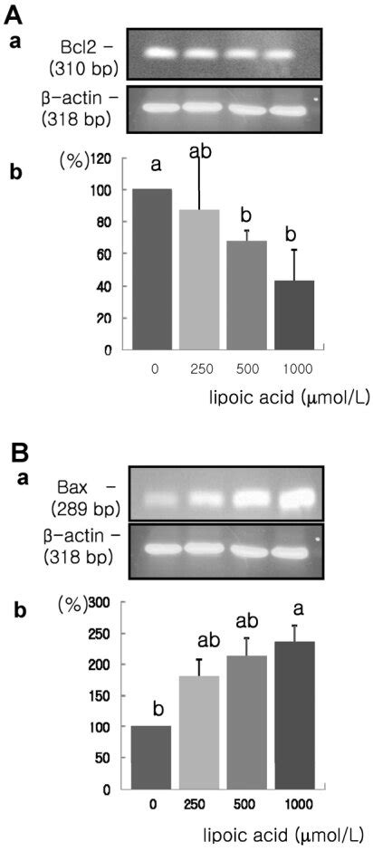 Effect Of α Lipoic Acid On Bcl 2 And Bax Mrna Expression In Mda Mb 231 Download Scientific