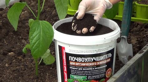 Почвоулучшитель: как использовать добавку для улучшения плодородности ...