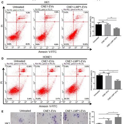 Nasopharyngeal Carcinoma Npc Cell‐derived Extracellular Vesicles Download Scientific Diagram