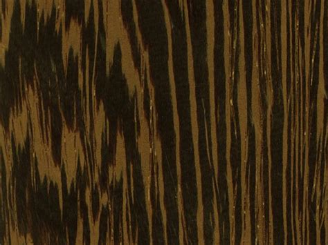 Венге (wenge), дерево венге, древесина венге