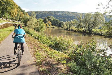 Elberadweg Fahrrad Tourde Radweg Am Fluss