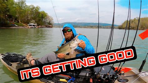 Spring Time Bass Fishing Lake Chickamauga Youtube