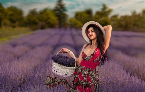 Wallpaper Field Look Girl Flowers Pose Basket Lavender Andrea