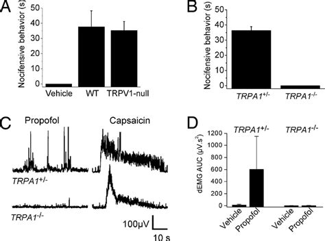 TRPA1 Mediates Propofol Evoked Pain Related Behavior A Topical