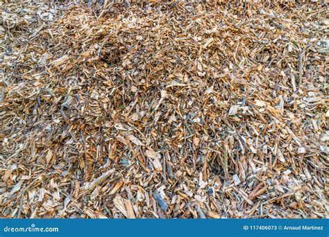 Biomass from Agricultural and Wood Waste Stock Image - Image of roots, agricultural: 117406073