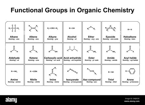 Functional groups in organic chemistry, illustration Stock Photo - Alamy